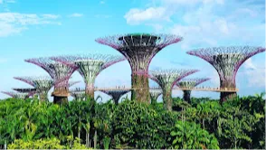 Gardens by the Bay